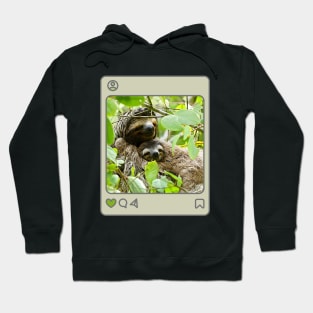 Sloths in a tree Hoodie